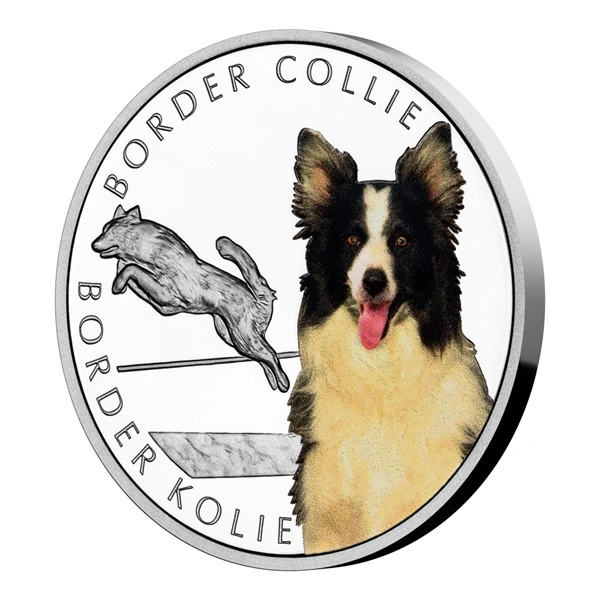 Stříbrná mince Psí plemena - Border kolie proof | 31,1 g