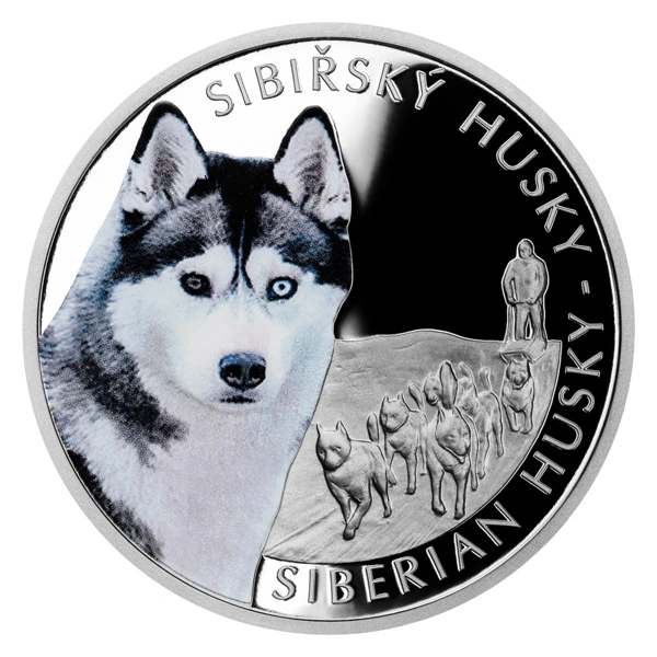 Stříbrná mince Psí plemena - Sibiřský husky proof | 31,1 g