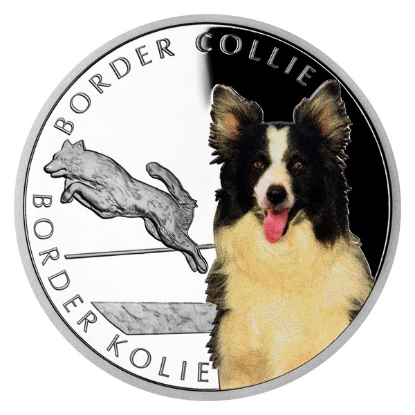 Stříbrná mince Psí plemena - Border kolie proof | 31,1 g