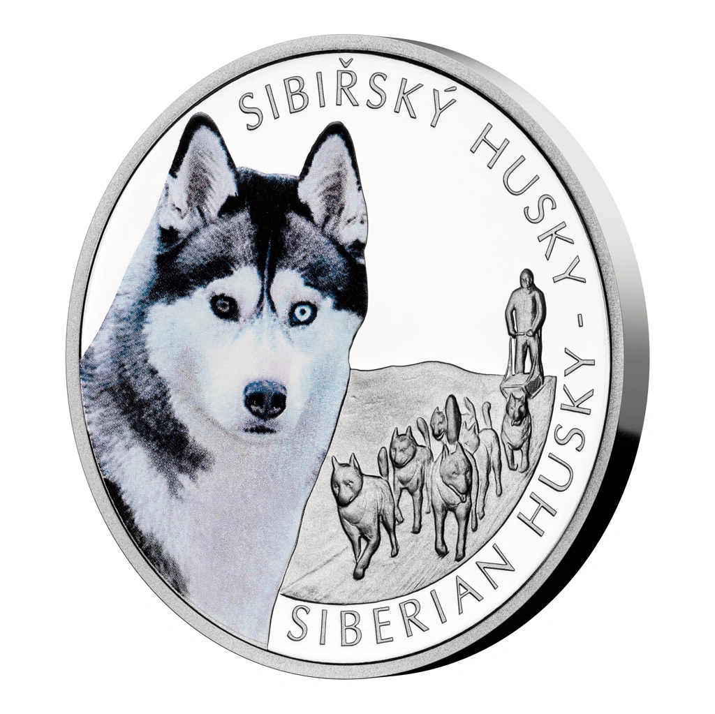 Stříbrná mince Psí plemena - Sibiřský husky proof | 31,1 g