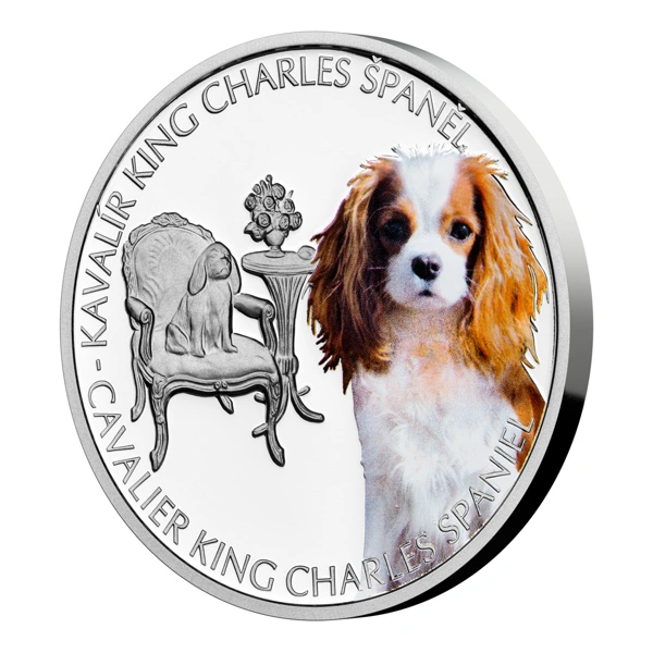 Stříbrná mince Psí plemena - Kavalír King Charles španěl proof | 31,1 g